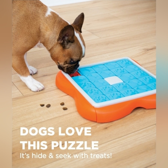 Nina Ottosen Challenge Slider Interactive Treat Puzzle Dog Toy by Outward Hound - Picture 7 of 12